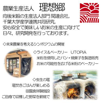 ふるさと納税 横芝光町 【毎月定期便】6ヶ月連続お届け!理想郷ミルキークイーン 精米(白米)5kg千葉大学共同研究米全6回_3