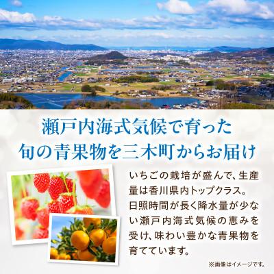 ふるさと納税 三木町 【発送月固定定期便】三木町フルーツ定期便全12回 |  | 03