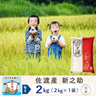 ふるさと納税 佐渡市 [毎月定期便]佐渡島産新之助 白米2Kg(2Kg×1袋) 全6回