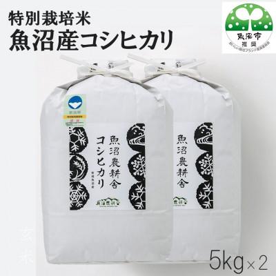 ふるさと納税 魚沼市 【2ヵ月毎定期便】米農家自慢の特別栽培米魚沼産