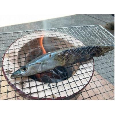 ふるさと納税 南伊豆町 【毎月定期便】湯の花 干物6種セット全2回_3
