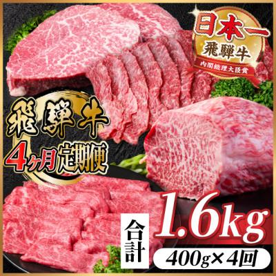 ふるさと納税 羽島市 [毎月定期便]飛騨牛 赤身定期便 計1.6kg 全4回