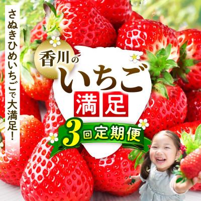 ふるさと納税 三木町 [発送月固定定期便]三木町産さぬきひめいちご定期便全3回
