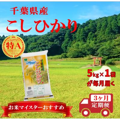 ふるさと納税 大網白里市 [毎月定期便]コシヒカリ 精米 5kg (5kg×1袋)全3回