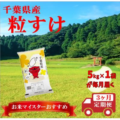 ふるさと納税 大網白里市 [毎月定期便]粒すけ 精米 5kg (5kg×1袋)全3回