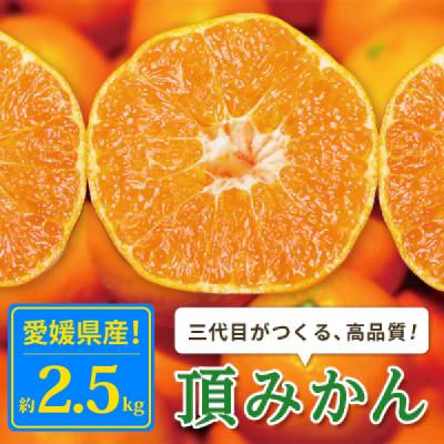 ふるさと納税 八幡浜市 [発送月固定定期便][定期便3か月]頂みかん2.5kg[E31-57]全3回