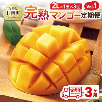 ふるさと納税 川南町 [発送月固定定期便]完熟マンゴー定期便Vol.1全3回