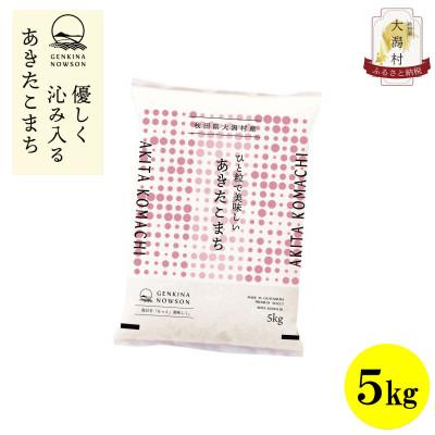 ふるさと納税 大潟村 【毎月定期便】秋田県産あきたこまち白米5kg(5kg×1)全3回 | 
