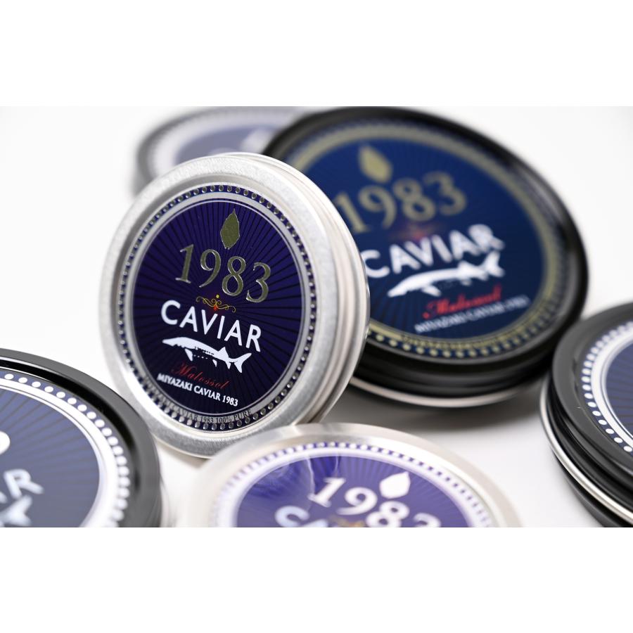 ふるさと納税 宮崎市 宮崎キャビア1983 (1kg) 簡易パッケージ[複数個口で配送]