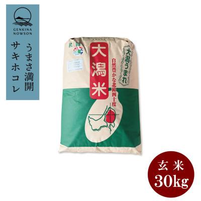 ふるさと納税 大潟村 [毎月定期便]サキホコレ30kg 1等 玄米全12回