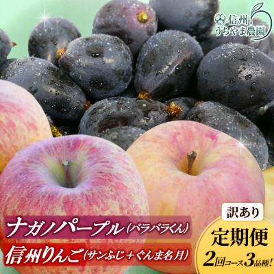 ふるさと納税 長野県 【発送月固定定期便】訳あり定期便★ナガノパープル★ぐんま名月★サンふじ★2回コース　3品種!全2回 | 