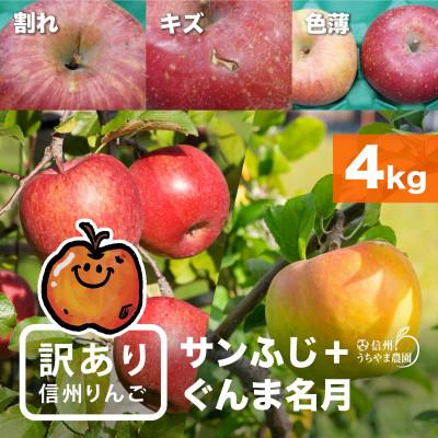 ふるさと納税 長野県 【発送月固定定期便】訳あり定期便★ナガノパープル★ぐんま名月★サンふじ★2回コース　3品種!全2回 |  | 01