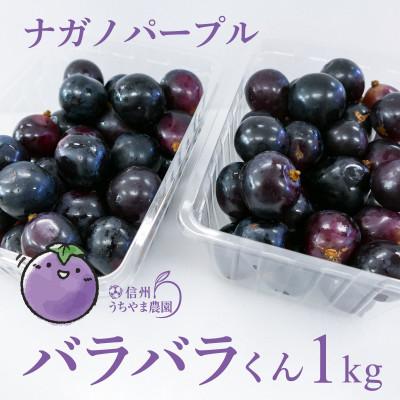 ふるさと納税 長野県 【発送月固定定期便】訳あり定期便★ナガノパープル★ぐんま名月★サンふじ★2回コース　3品種!全2回 |  | 02