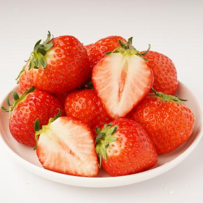 ふるさと納税 さぬき市 [発送月固定定期便]さぬき市厳選フルーツ定期便全3回