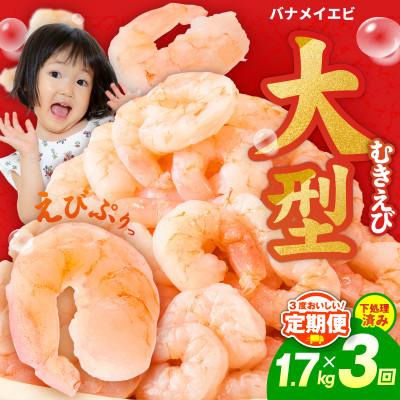 ふるさと納税 泉佐野市 [毎月定期便]むきえび 大型 5Lサイズ 1.7kg×全3回