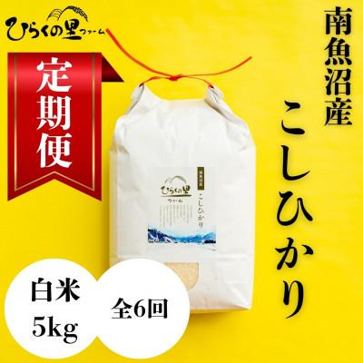 ふるさと納税 南魚沼市 [毎月定期便]もっちり甘い!南魚沼産コシヒカリ 白米[5kg×1袋]全6回