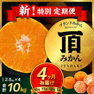 ふるさと納税 八幡浜市 [発送月固定定期便][4ヶ月連続]旬ごとに味わいが変化!頂みかん 2.5kg[G31-58]全4回