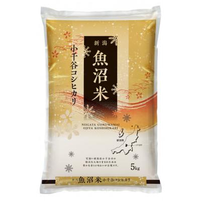 ふるさと納税 小千谷市 [毎月定期便][頒布会]雪室貯蔵魚沼産コシヒカリ 精米 5kg全6回