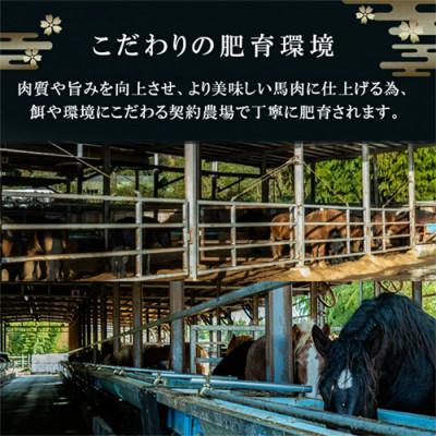 ふるさと納税 小国町 【毎月定期便】国産 上赤身 馬刺し 1000g 生食用 専用たれ付き(熊本県小国町)全6回の画像