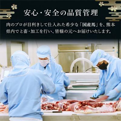 ふるさと納税 小国町 【毎月定期便】国産 上赤身 馬刺し 1000g 生食用 専用たれ付き(熊本県小国町)全6回の画像