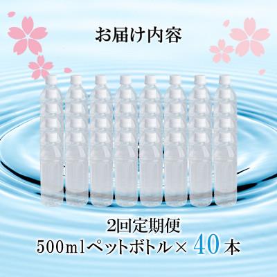 ふるさと納税 小国町 【毎月定期便】阿蘇小国郷が育む天然のシリカ水「サクラシリカ」500ml×40本全2回の画像