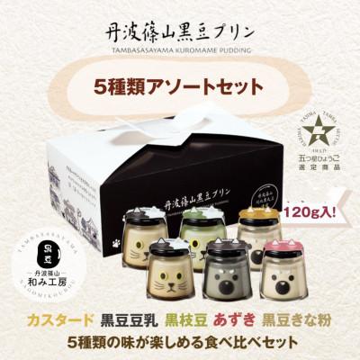 ふるさと納税 丹波篠山市 [毎月定期便]黒豆プリン 5種類アソートセット全2回