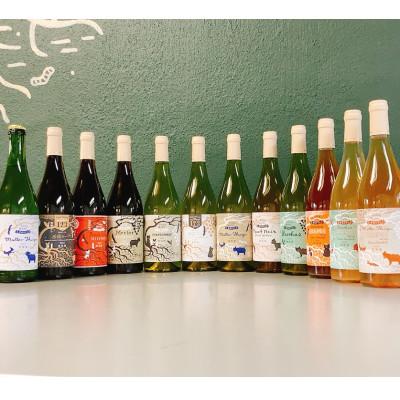 ふるさと納税 上富良野町 [毎月定期便]野生酵母ワイン 赤白泡オレンジ●月2本●多田ワイナリー全6回