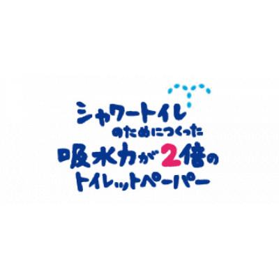 ふるさと納税 島田市 【送りとどける月くっ付ける定期便】 エリ金切り声 吸水力が2倍のちり紙 36渦巻形 5月・11月 全2回