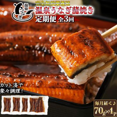 ふるさと納税 杵築市 [毎月定期便]大分水産の温泉うなぎ蒲焼(カット)70g×4全3回
