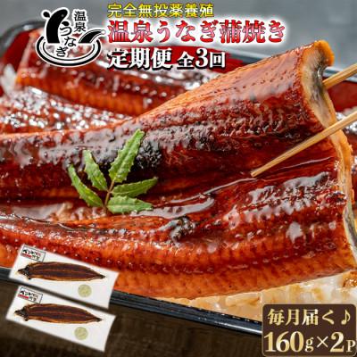 ふるさと納税 杵築市 [毎月定期便]温泉うなぎ蒲焼 2尾(約160gサイズ) 国産うなぎ全3回