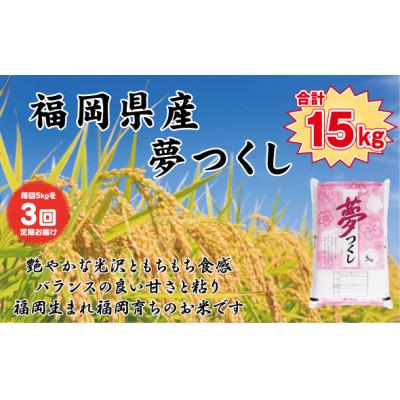 ふるさと納税 大刀洗町 [毎月定期便][食味鑑定士厳選]福岡県産 夢つくし5kg(5kg×1袋)(大刀洗町)全3回