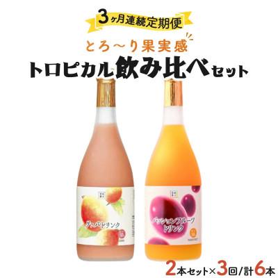 ふるさと納税 串間市 [毎月定期便]驚きの果実感!グァバ・パッションフルーツドリンク2本セット(各720ml)全3回