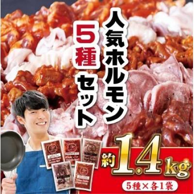 ふるさと納税 佐世保市 [毎月定期便]特製タレ漬け 工場直送!ホルモン 人気5種セット 計約1.4kg全12回
