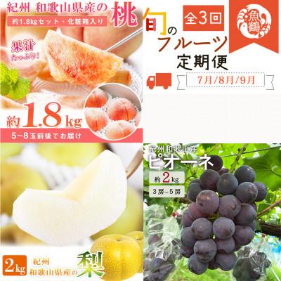ふるさと納税 那智勝浦町 [発送月固定定期便]紀州和歌山産旬のフルーツセット(桃・梨・ピオーネ)全3回