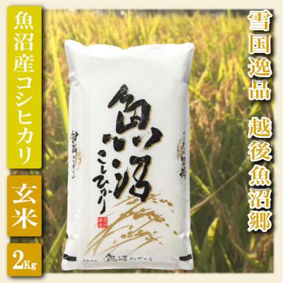 ふるさと納税 魚沼市 [毎月定期便]雪国逸品 玄米2kg 越後魚沼郷 魚沼産コシヒカリ全6回