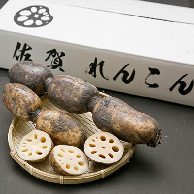 ふるさと納税 江北町 【毎月定期便】【地元江北町産】泥付き蓮根 3kg　(特別栽培農産物認定)全3回 |  | 02