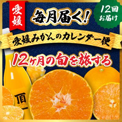 ふるさと納税 八幡浜市 [発送月固定定期便]毎月届く!みかんのカレンダー便 〜12ヶ月の旬を旅する〜[H31-62]全12回