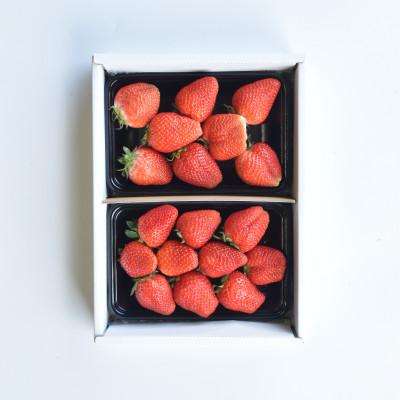 ふるさと納税 山梨市 [発送月固定定期便]山梨市産 旬のフルーツ定期便全4回