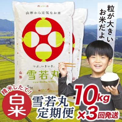 ふるさと納税 最上町 [毎月定期便]買い忘れなしで美味しい雪若丸10kg(白米)が届く全3回