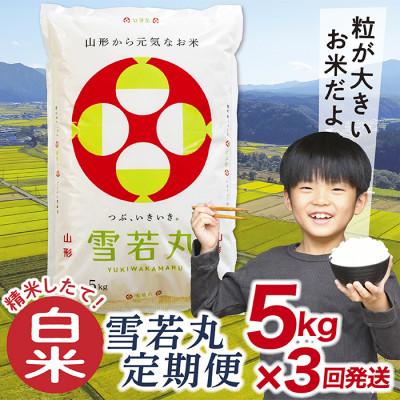 ふるさと納税 最上町 [毎月定期便]買い忘れなしで美味しい雪若丸5kg(白米)が届く全3回
