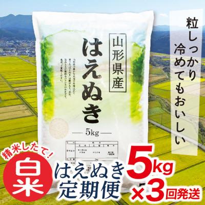 ふるさと納税 最上町 [毎月定期便]買い忘れなしで美味しいはえぬき5kg(白米)が届く全3回