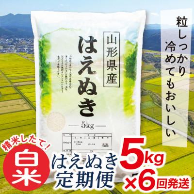 ふるさと納税 最上町 [発送月固定定期便]買い忘れなしで美味しいはえぬき5kg(白米)が届く全6回