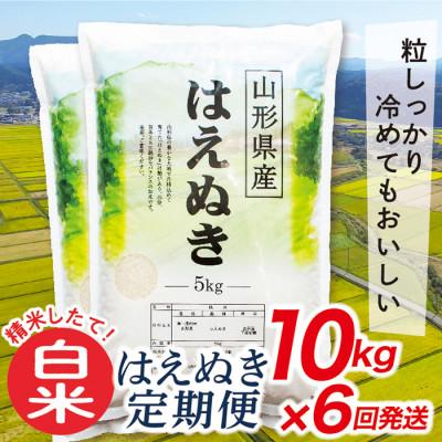 ふるさと納税 最上町 [発送月固定定期便]買い忘れなしで美味しいはえぬき10kg(白米)が届く全6回