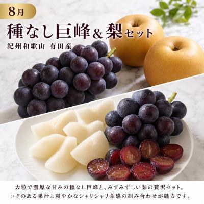 ふるさと納税 有田川町 【発送月固定定期便】紀州有田産旬のフルーツセット(種なし巨峰&梨セット・シャインマスカット)全2回 |  | 01