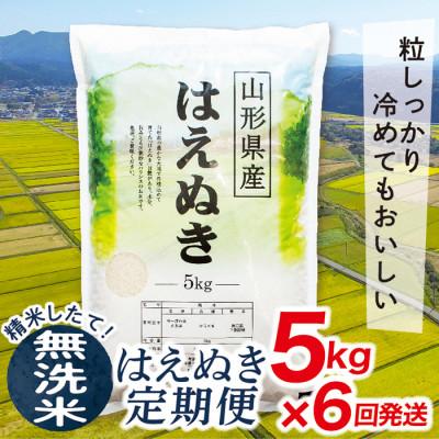 ふるさと納税 最上町 [発送月固定定期便]買い忘れなしで美味しいはえぬき5kg(無洗米)が届く全6回