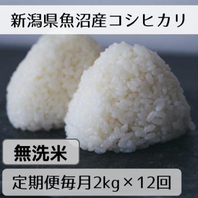 ふるさと納税 十日町市 [毎月定期便]新潟県魚沼産コシヒカリ「山清水米」無洗米2kg全12回