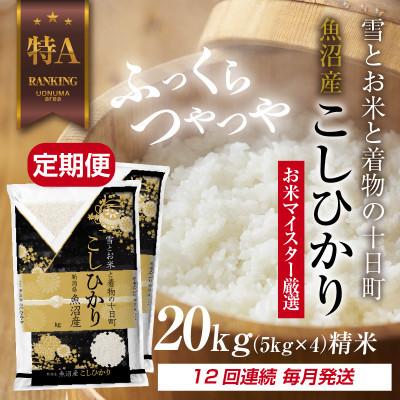 ふるさと納税 十日町市 [毎月定期便]魚沼産 コシヒカリ 20kg 精米 (お米の美味しい炊き方ガイド付)全12回