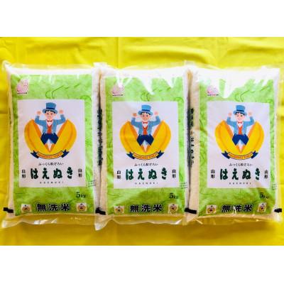 ふるさと納税 酒田市 [毎月定期便]無洗米 はえぬき 5kg全3回