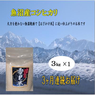 ふるさと納税 魚沼市 [毎月定期便]生産者直送!魚沼産コシヒカリ雪里米(ふるさとまい) 精米 3kg全3回