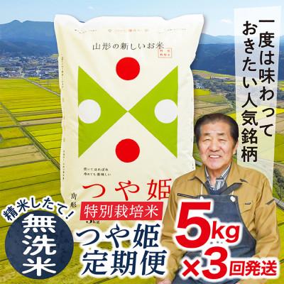 ふるさと納税 最上町 [毎月定期便]買い忘れなしで美味しい特別栽培米つや姫5kg(無洗米)が届く全3回